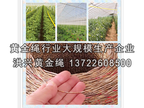 压膜绳安装大棚卷帘机前需做的准备